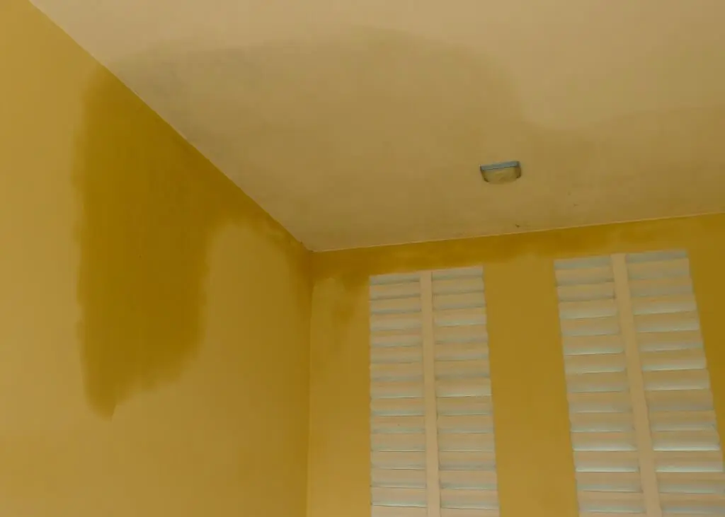 Tường nhà bị thấm nước nghiêm trọng