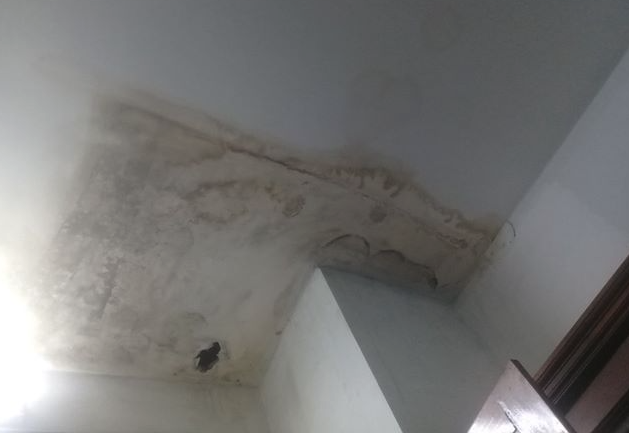 Nhà vệ sinh bị thấm nước gây ẩm mốc