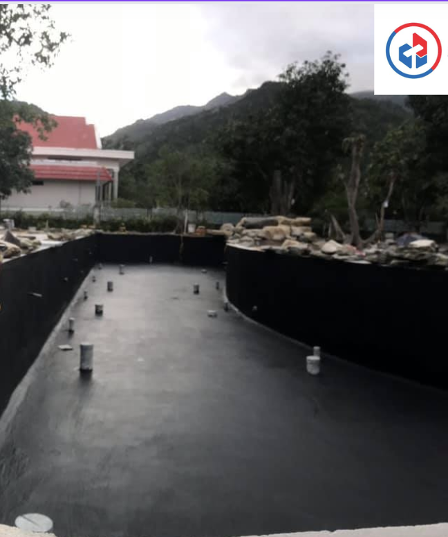 Sau khi thi công chống thấm bể cá KOI